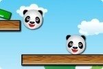 Amici panda