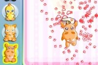 Animal Artist Animal Artist