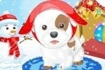 Cagnolino nella neve Cagnolino nella neve