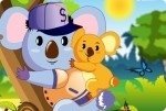 Cool koala Cool koala