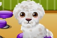 Lost Puppy Care Lost Puppy Care