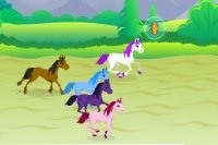 Pony Jockey Pony Jockey