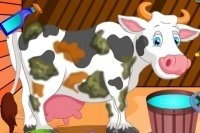 Prenditi cura della mucca Prenditi cura della mucca