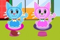 Prenditi cura dei gatti 2 Prenditi cura dei gatti 2