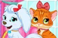 Un giorno con il mio animale domestico Un giorno con il mio animale domestico