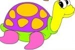 Colora le tartarughe