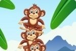 Scimmie in equilibrio